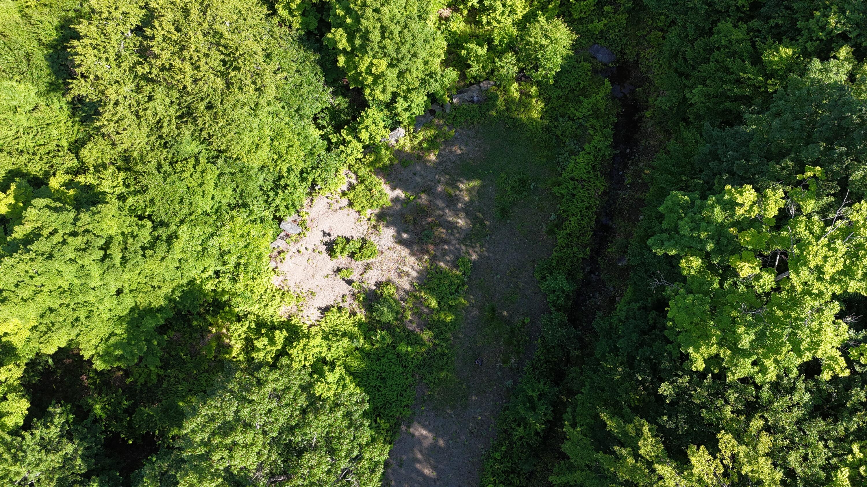 2 Lower Vose Road Kingfield, ME 04947 - Photo 16 of 40 dji_fly_20260711_094314_0687_17837785539