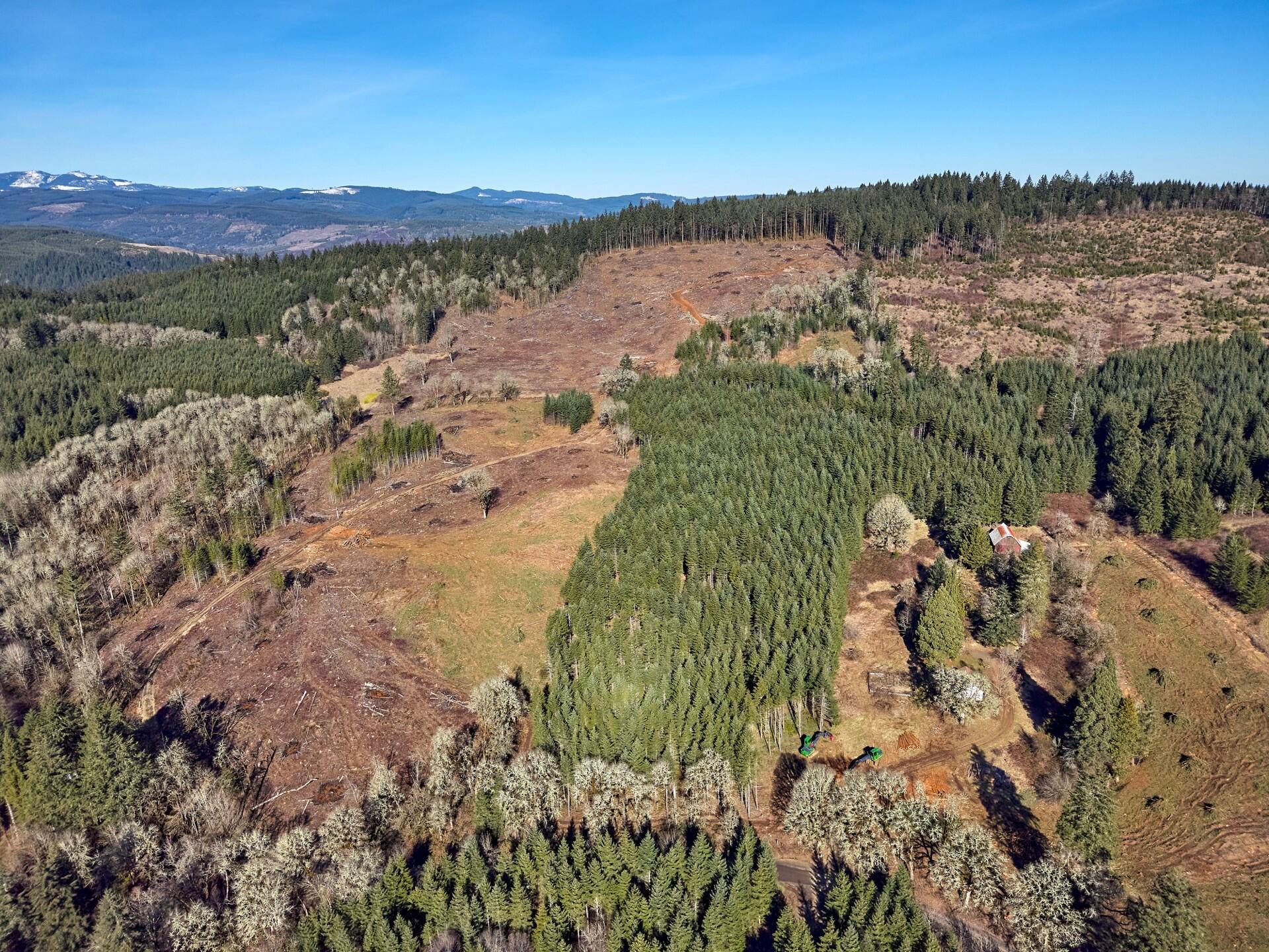 12610 Northwest Ford Road Gaston, OR 97119 - Photo 9 of 31 230_12610_Ford_1_web
