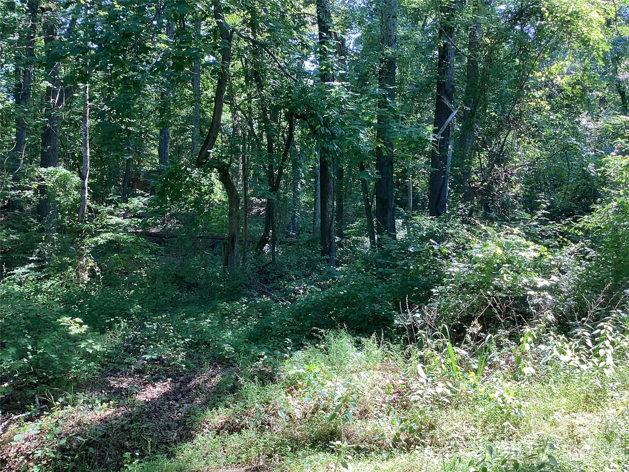 2870 Dunns Mountain Road Salisbury, NC 28146 - Photo 3 of 15