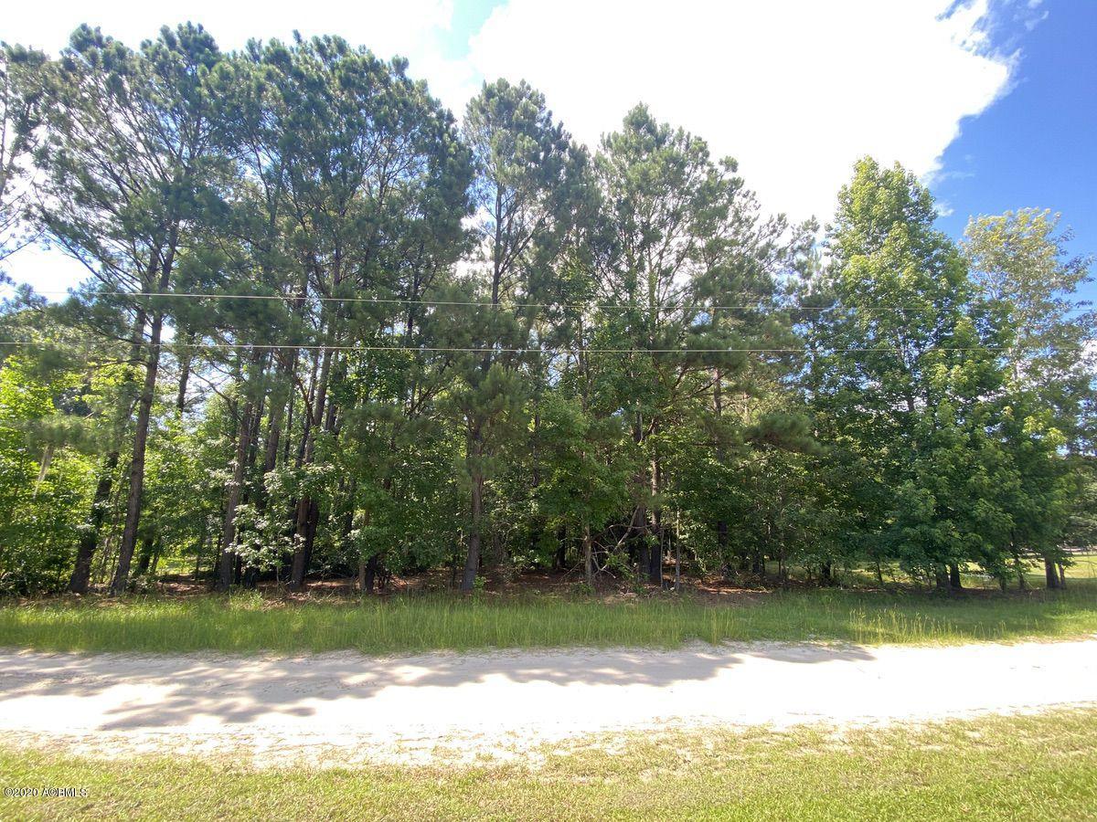 1331 Driggers Lane Ridgeland, SC 29936 - Photo 33 of 48 IMG_5369