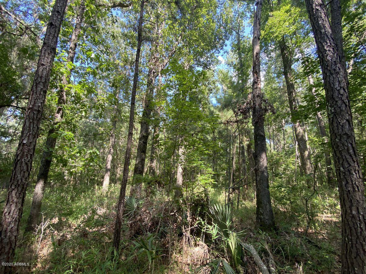 1331 Driggers Lane Ridgeland, SC 29936 - Photo 38 of 48 IMG_5391
