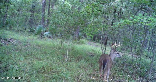 1331 Driggers Lane Ridgeland, SC 29936 - Photo 48 of 48 WhatsApp Image 2020-06-30 at 12.25.53 PM