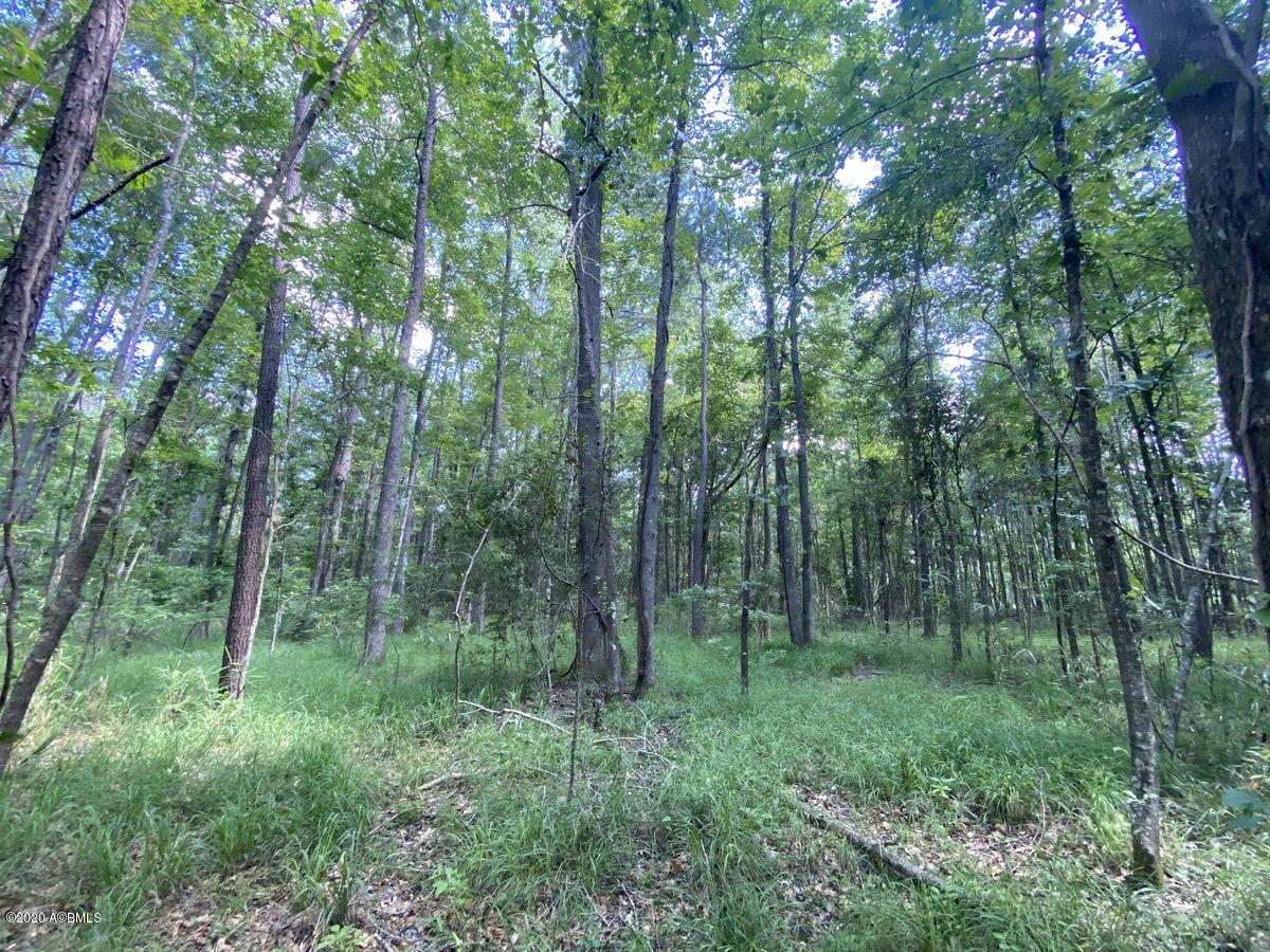 1331 Driggers Lane Ridgeland, SC 29936 - Photo 7 of 48 07
