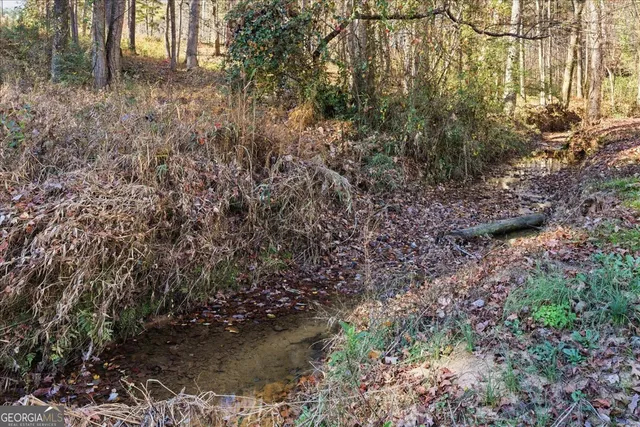 a view of a yard with plants and trees