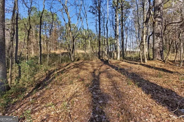 a view of a yard with trees all around