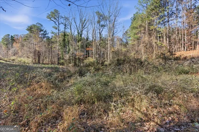 a view of city and mountain