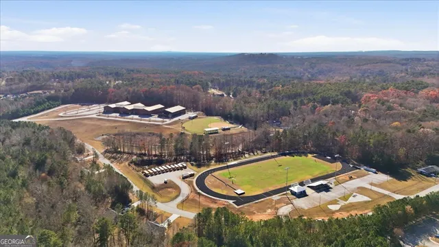a view of a yard with plants and trees