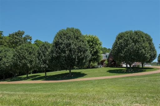 419 Buddy Road Burns, TN 37029 - Photo 4 of 30 Incredible Curb Appeal..Tree-lined Driveway