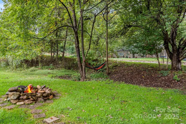 a view of a park with large trees