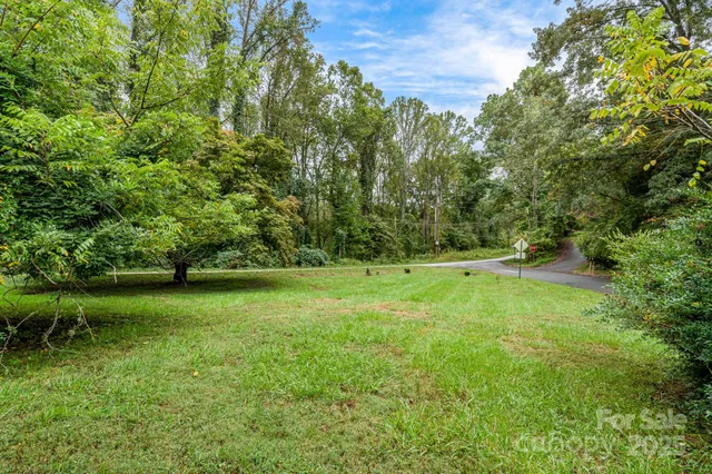 a view of a field with a tree