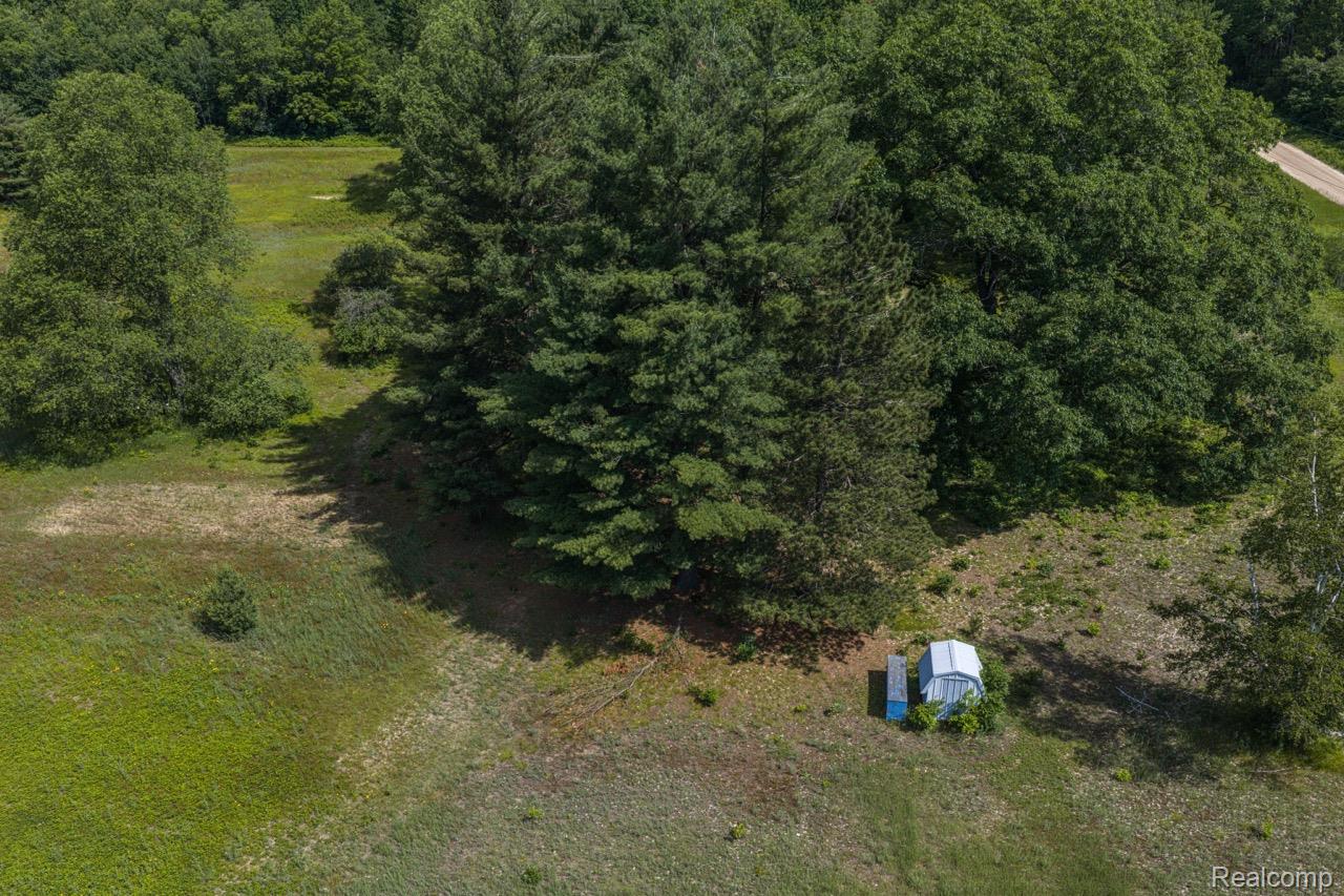 2418 South 41st Road South Cadillac, MI 49601 - Photo 32 of 57 Expansive natural landscape featuring dense tree cover and open grassy areas