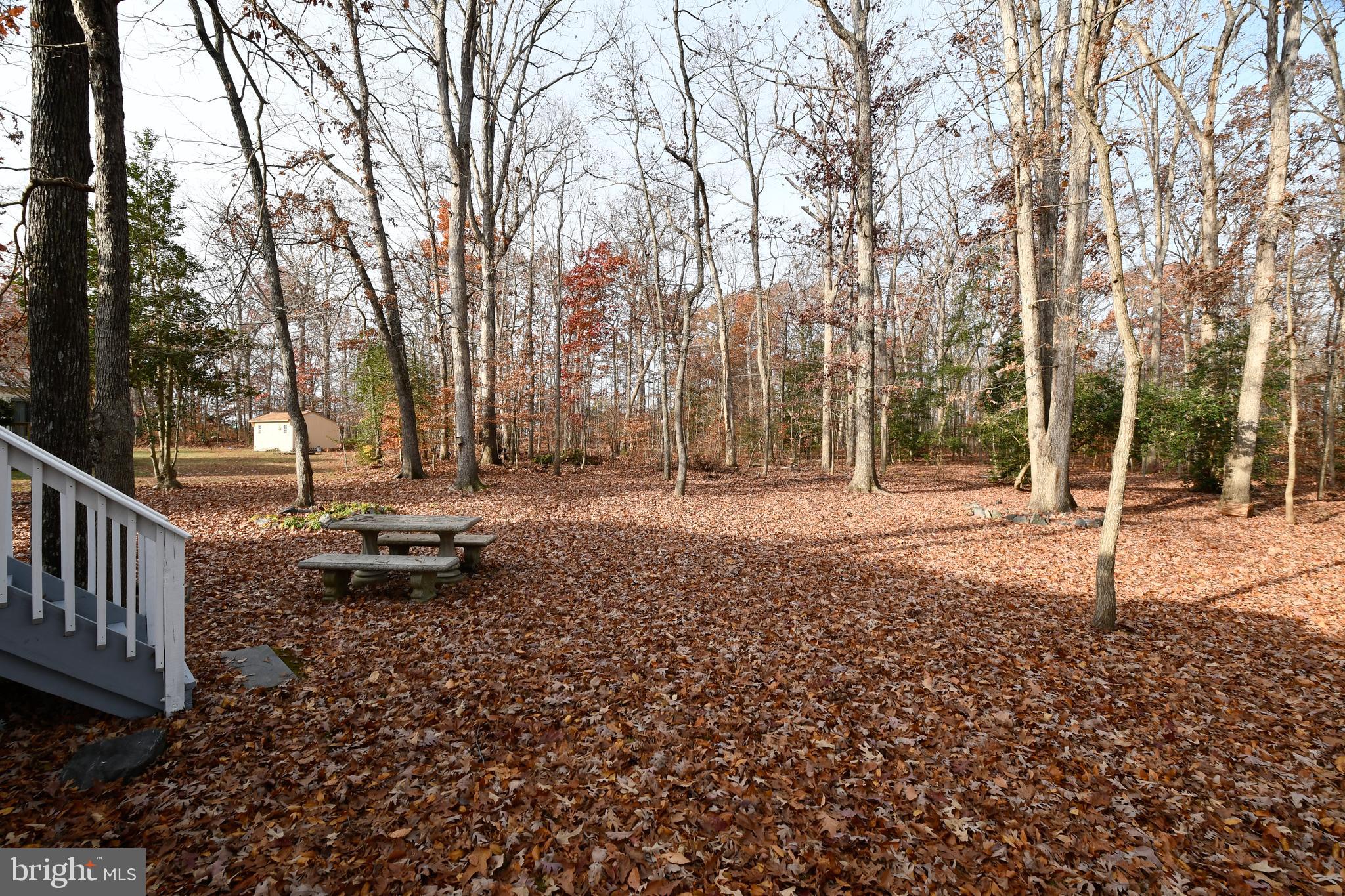 5515 South Branch Road Fredericksburg, VA 22407 - Photo 38 of 38