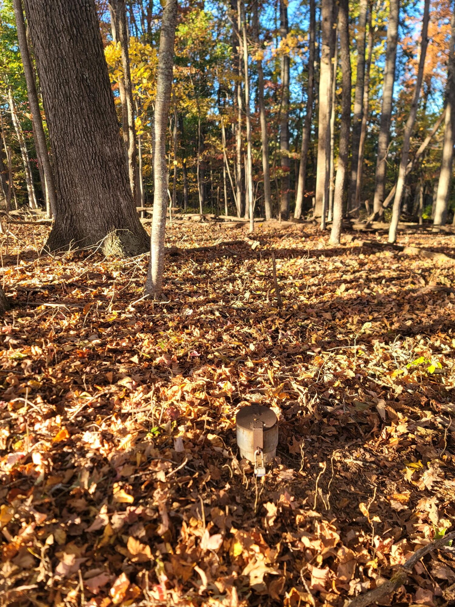 1308 Seminole Road Forest Hill, WV 24935 - Photo 20 of 39 Gallery Image 20