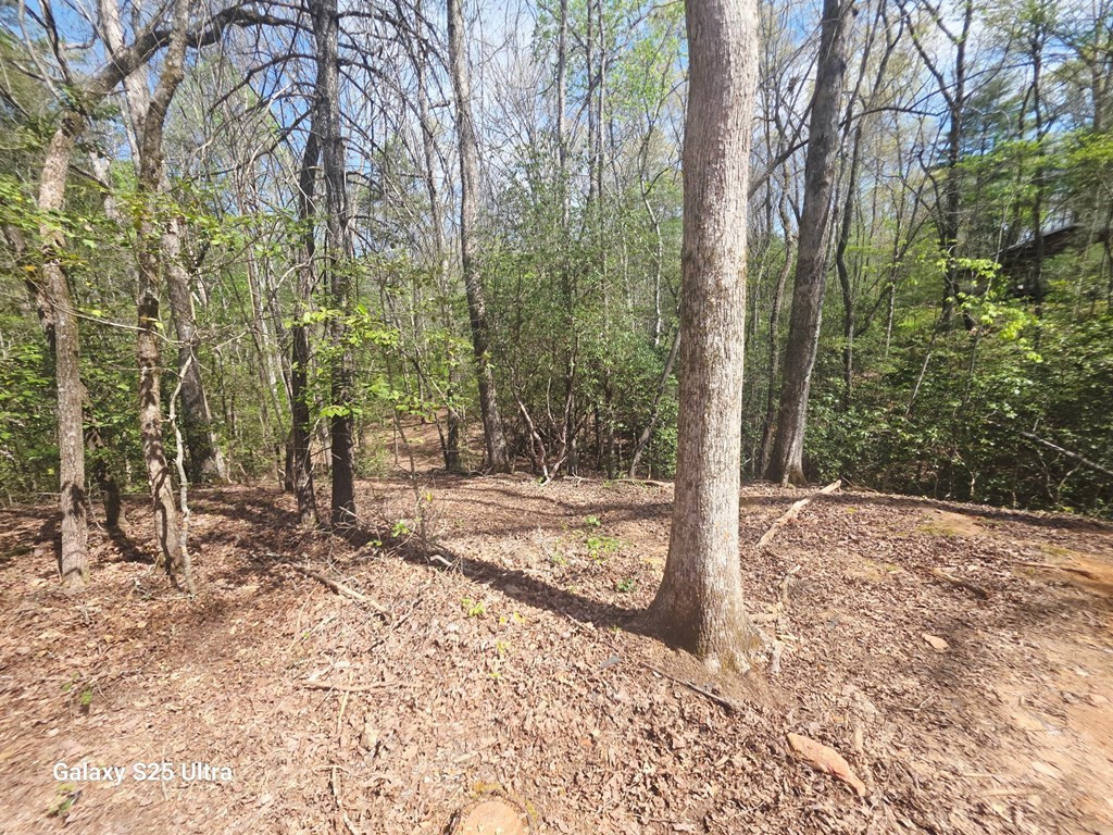 369 Nottley River Road Murphy, NC 28906 - Photo 10 of 12 Gallery Image 10