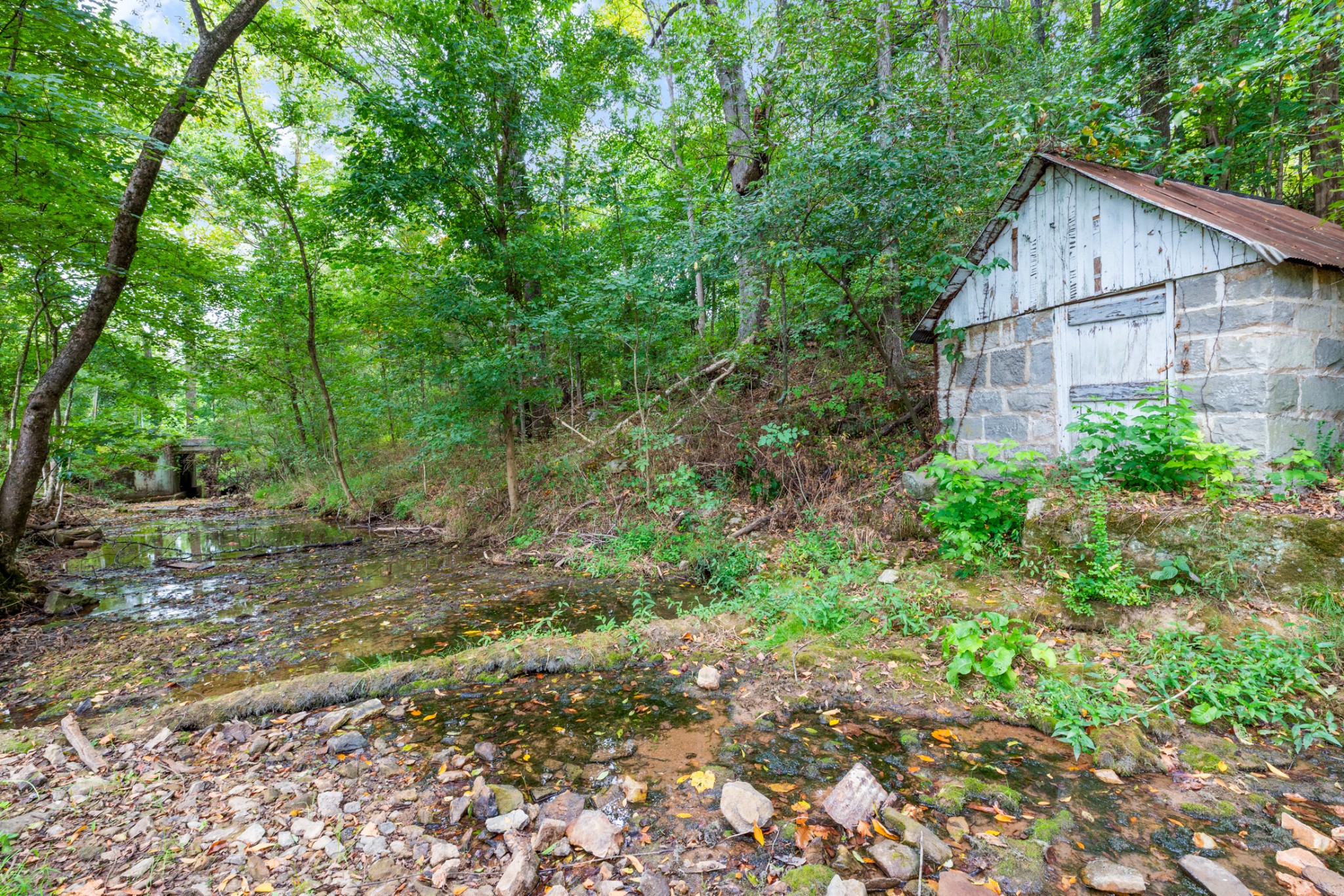 260 Old Highway 48 Charlotte, TN 37036 - Photo 52 of 71 a view of a backyard