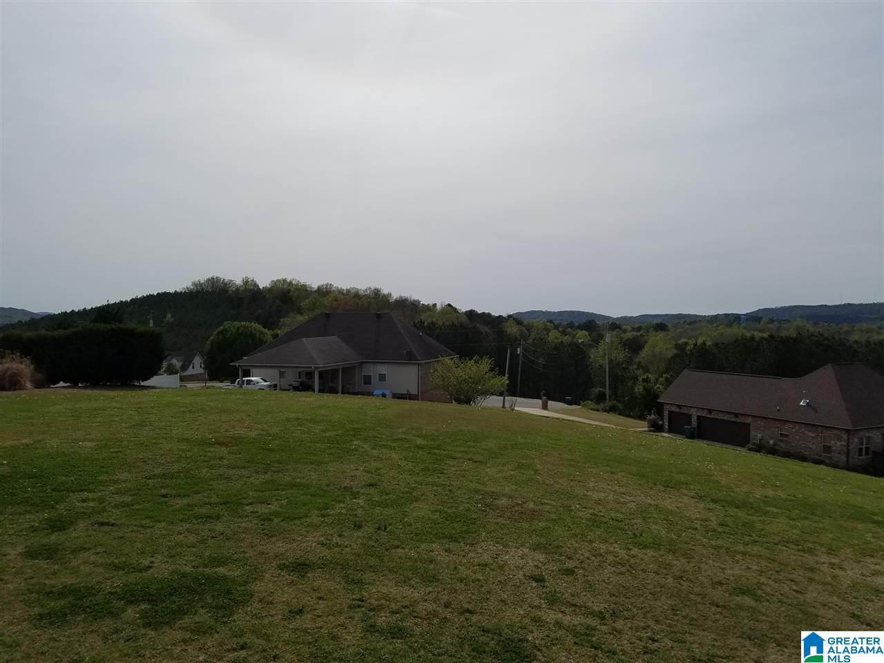 817 Ransome Drive Oneonta, AL 35121 - Photo 28 of 35 Gallery Image 28