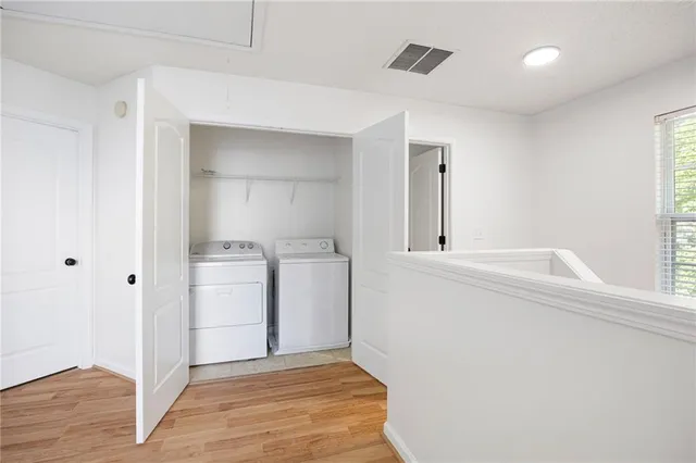 a view of lush green forest