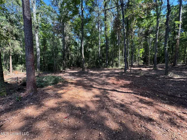 $148,500 | Xxx West Wa Walker Road, McComb, MS 39648