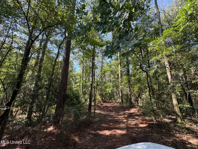 $148,500 | Xxx West Wa Walker Road, McComb, MS 39648