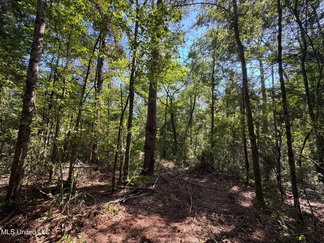 $148,500 | Xxx West Wa Walker Road, McComb, MS 39648