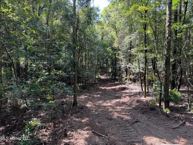 $148,500 | Xxx West Wa Walker Road, McComb, MS 39648