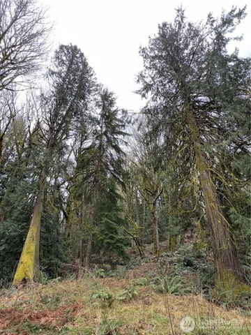 $460,000 | 376 Beach Drive, Quilcene, WA 98376