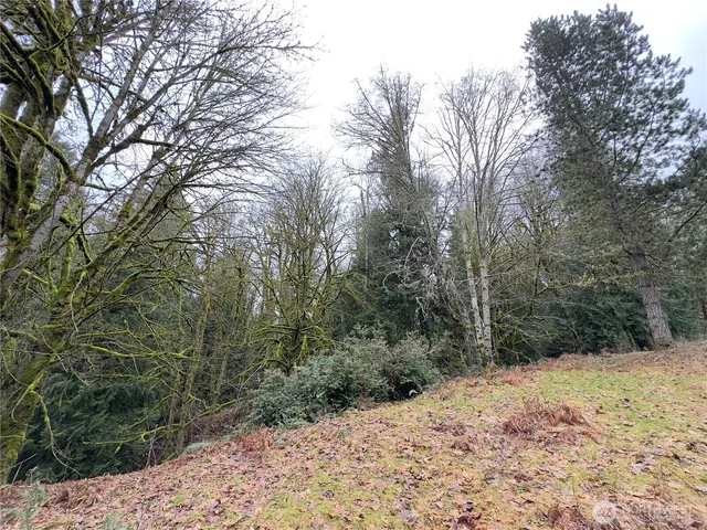 $460,000 | 376 Beach Drive, Quilcene, WA 98376