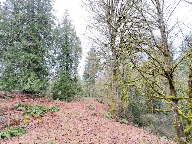 $460,000 | 376 Beach Drive, Quilcene, WA 98376