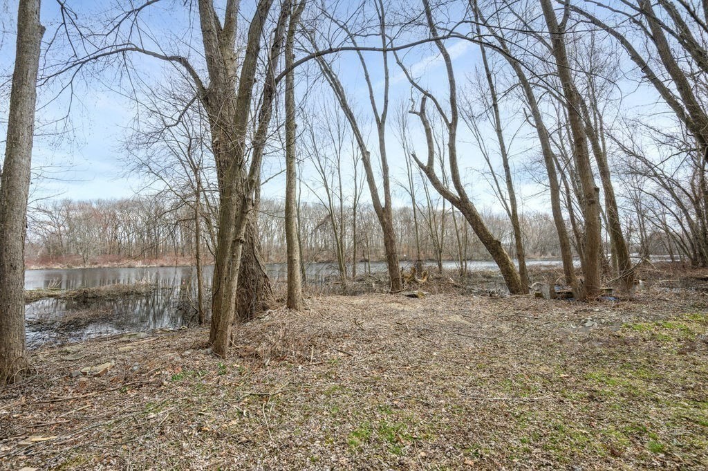 59 Maynard Road Dedham, MA 02026 - Photo 33 of 36 Gallery Image 33