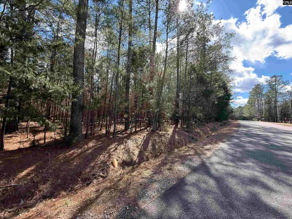 $100,000 | 0 Ruby Riser Road, Batesburg, SC 29006