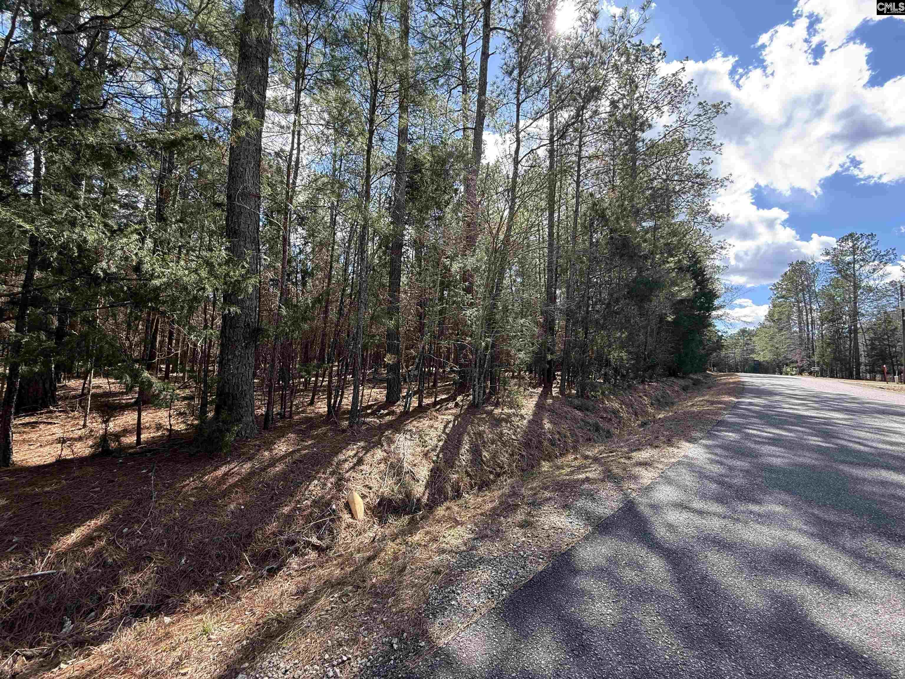 0 Ruby Riser Road Batesburg, SC 29006 - Photo 1 of 2