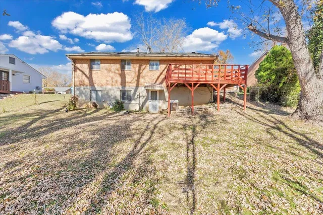 a view of a yard with a tree