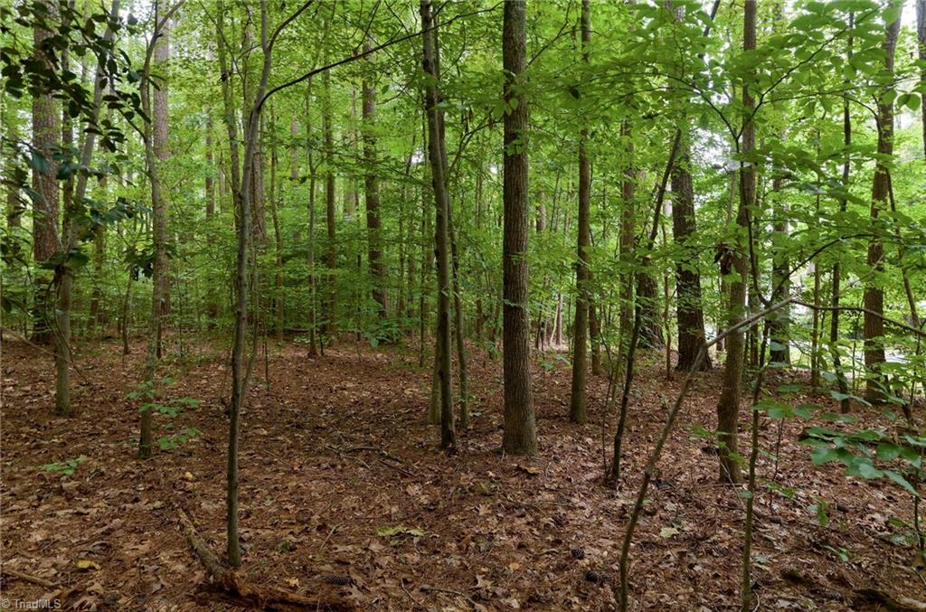Lot 13 Beckner Road Lexington, NC 27292 - Photo 3 of 12 Gallery Image 3