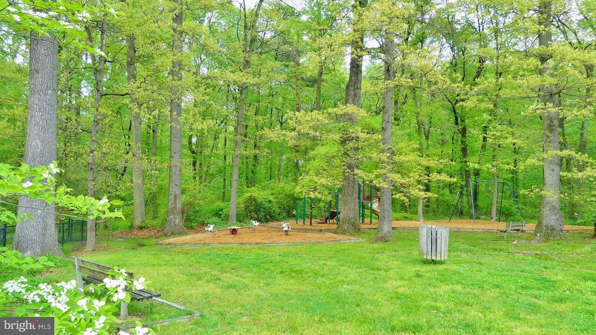 2 Crescent Road Greenbelt, MD 20770 - Photo 11 of 18 Parklands