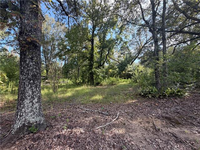 40 Lee Reeves Road Deville, LA 71328 - Photo 3 of 4 Gallery Image 3