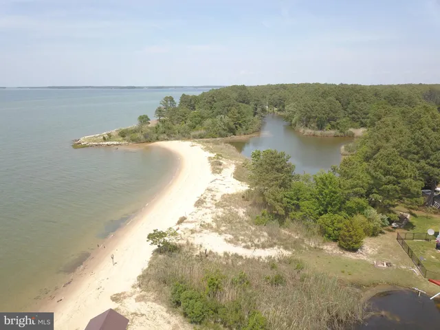 a view of a forest with a street