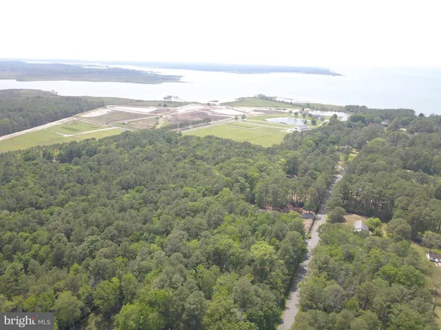 a view of a lake with a tree