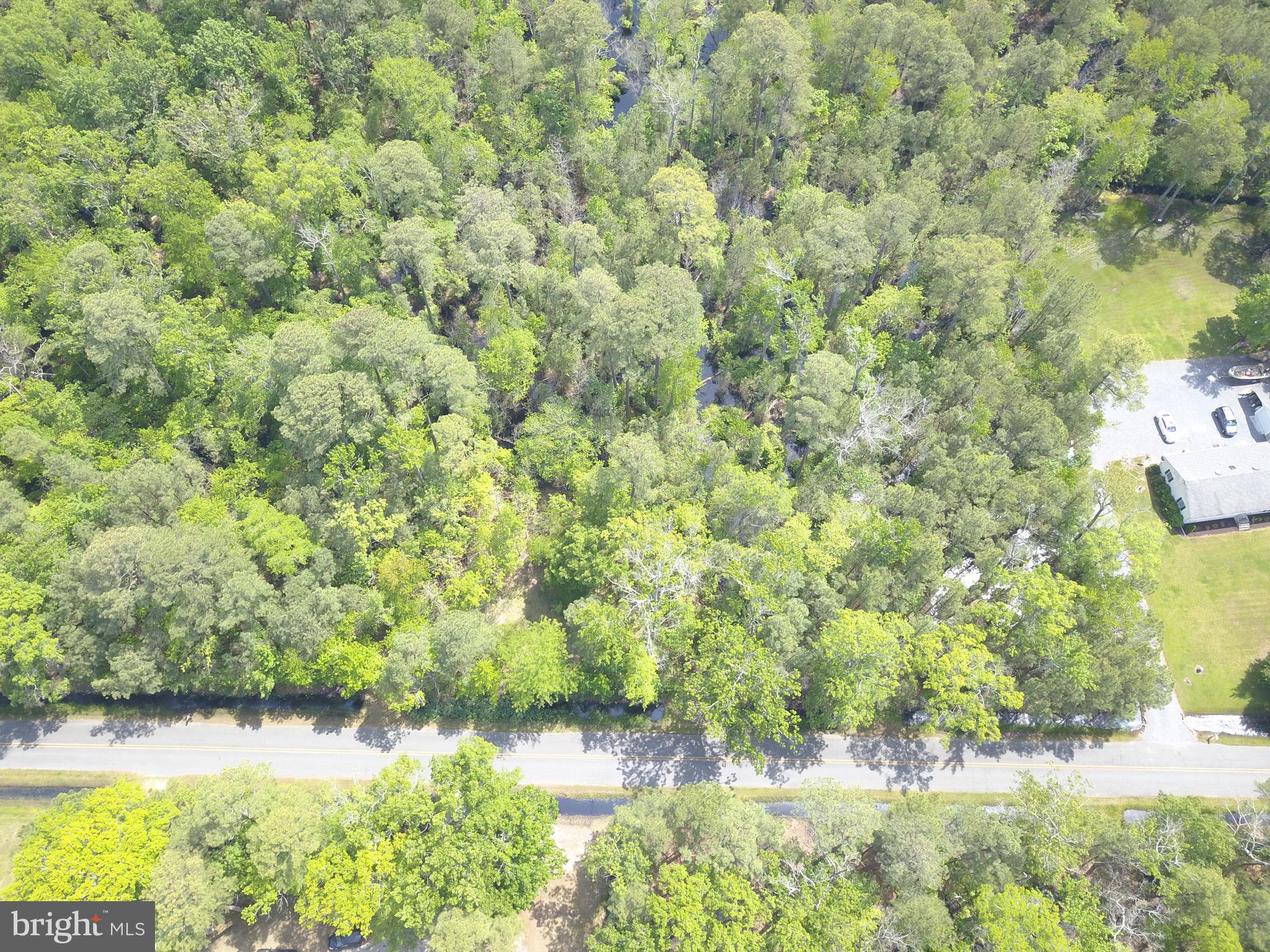 Parsons Drive Madison, MD 21648 - Photo 19 of 21 a view of a lake with a tree