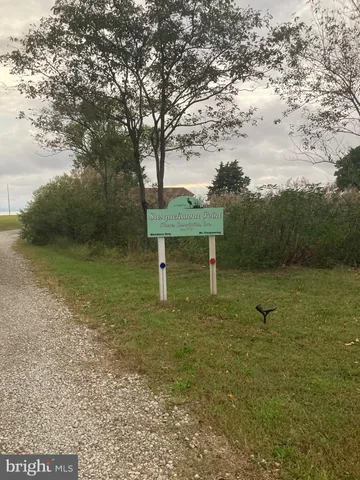 a view of a garden with a bench