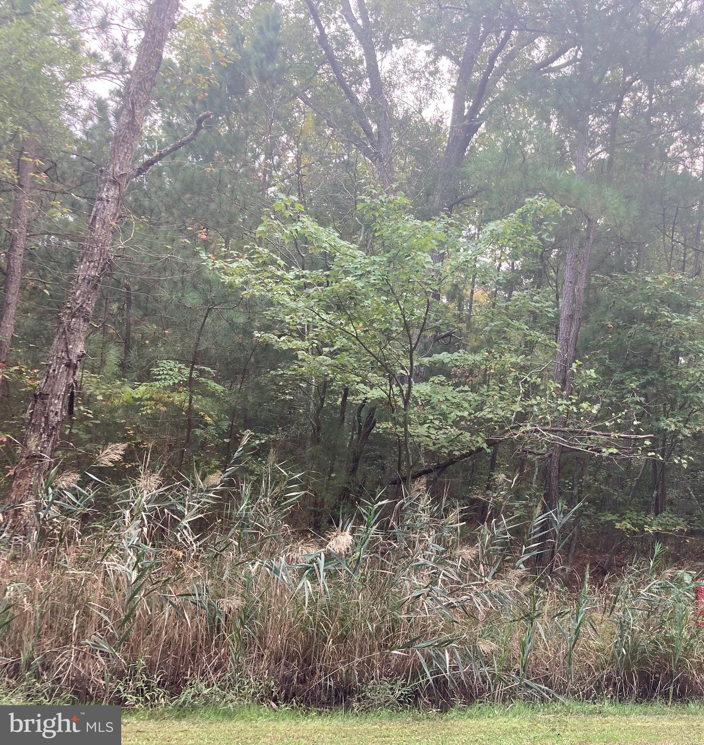 Parsons Drive Madison, MD 21648 - Photo 8 of 21 a backyard of a house with lots of green space