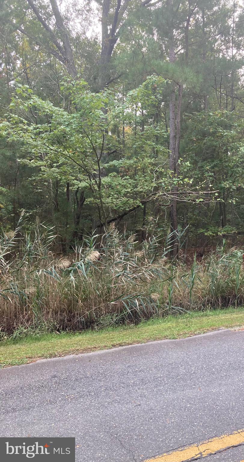 Parsons Drive Madison, MD 21648 - Photo 9 of 21 a view of a yard