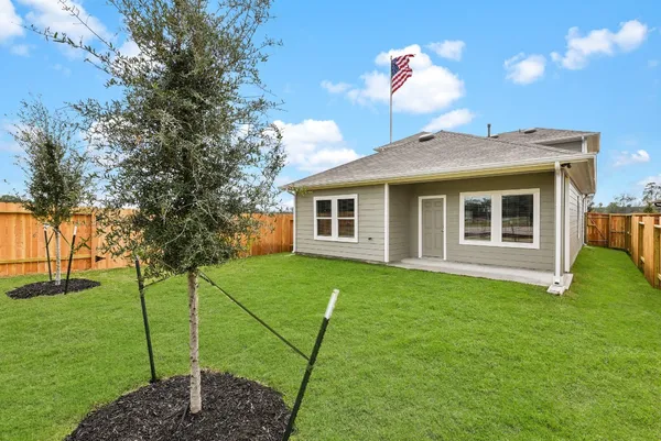 a view of a backyard with a garden and plants