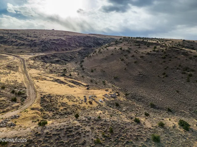 a view of a dry yard