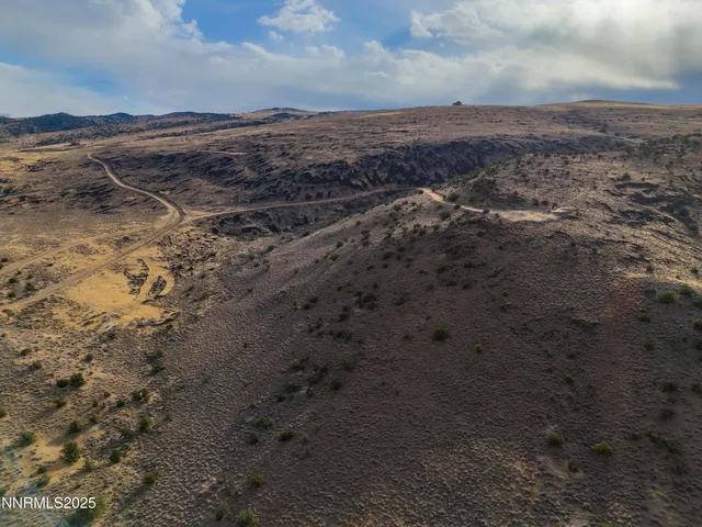 a view of a dry yard