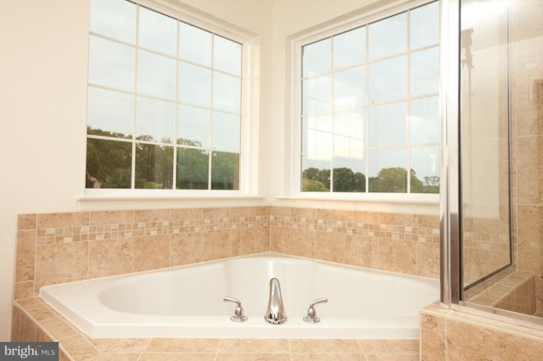 1631 Fletchers Way Point of Rocks, MD 21777 - Photo 8 of 23 Bath (Master)