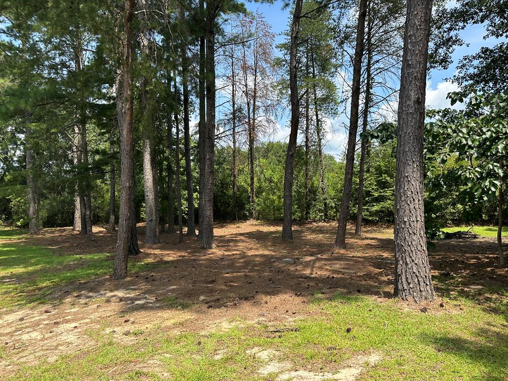 4205 Prevatt Road Cowarts, AL 36321 - Photo 45 of 48