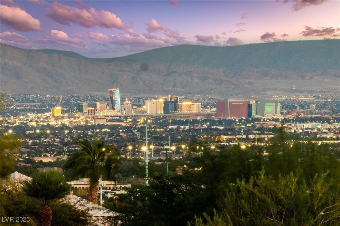 1928 Hot Oak Ridge Street Las Vegas, NV 89134 - Photo 4 of 98