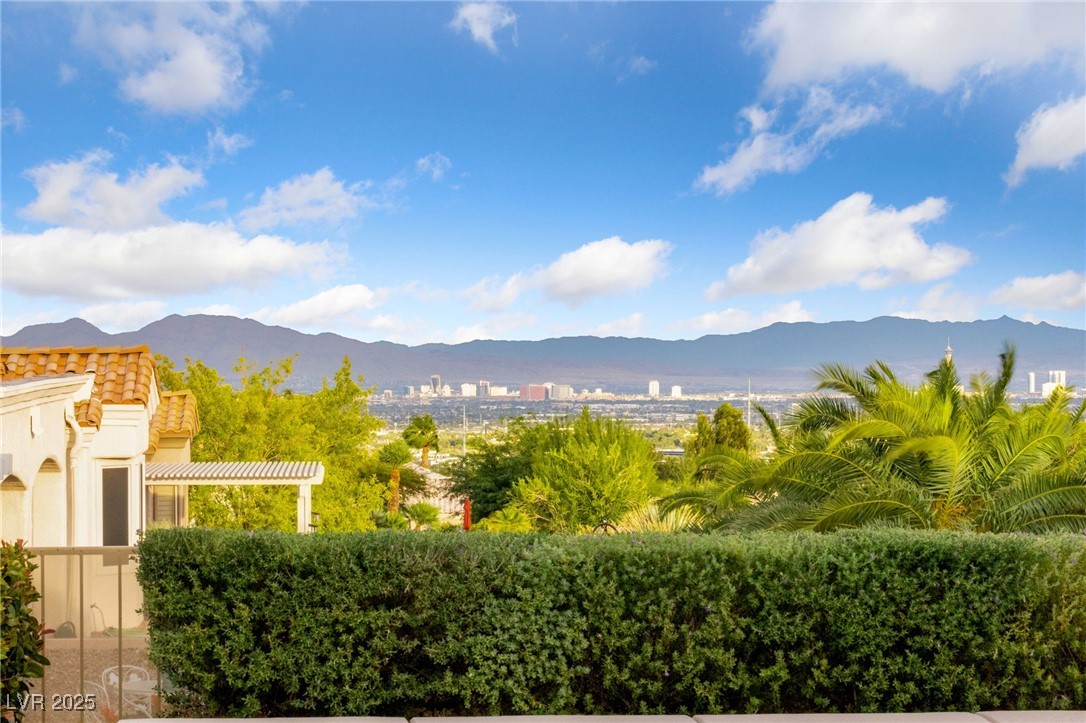 1928 Hot Oak Ridge Street Las Vegas, NV 89134 - Photo 46 of 98