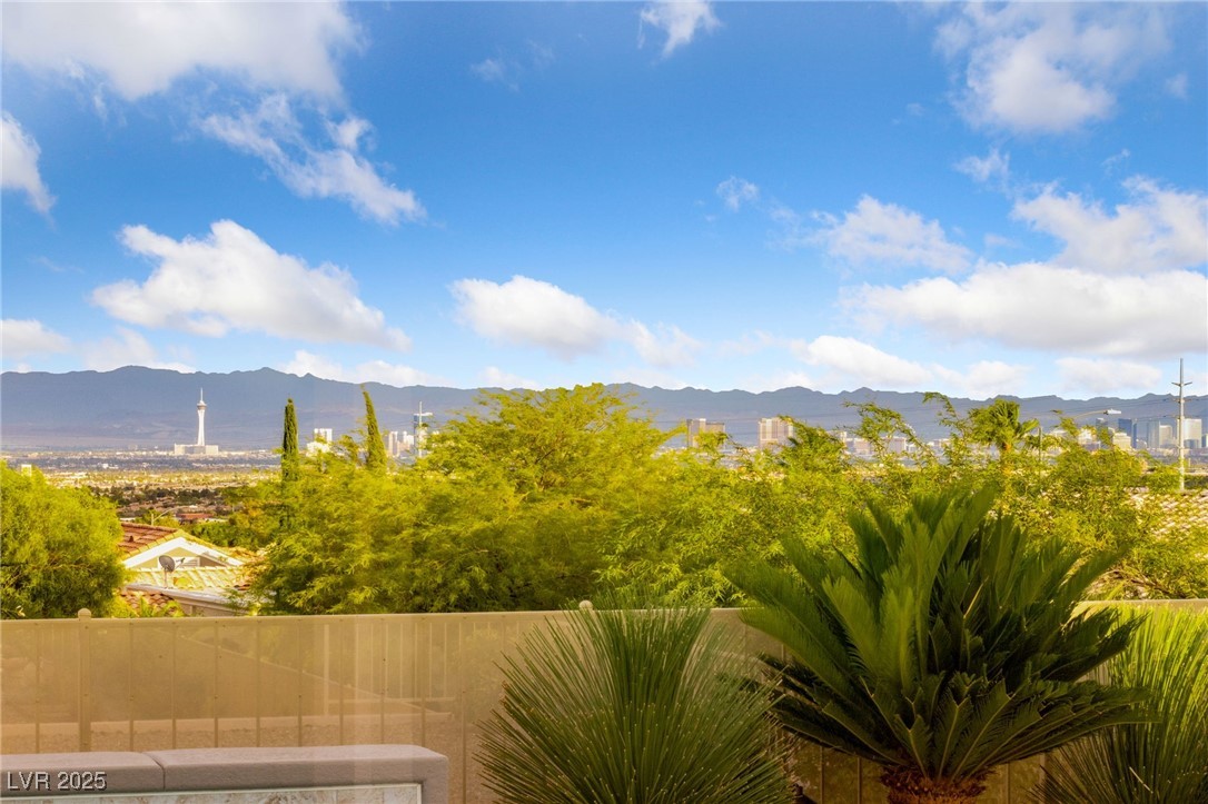 1928 Hot Oak Ridge Street Las Vegas, NV 89134 - Photo 47 of 98