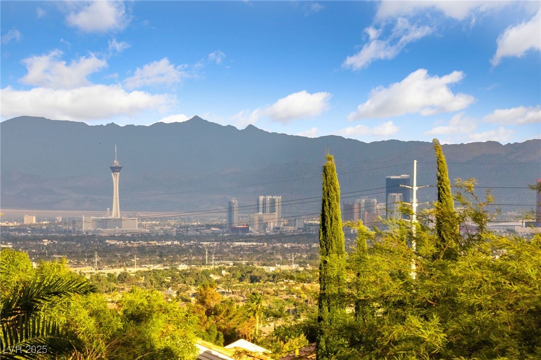 1928 Hot Oak Ridge Street Las Vegas, NV 89134 - Photo 48 of 98